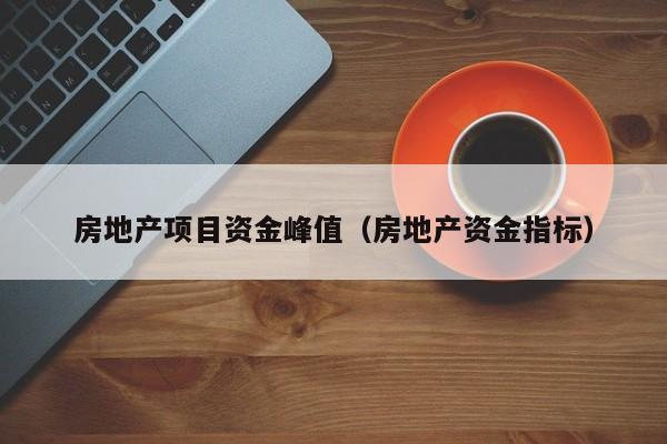 房地产项目资金峰值(房地产资金指标)