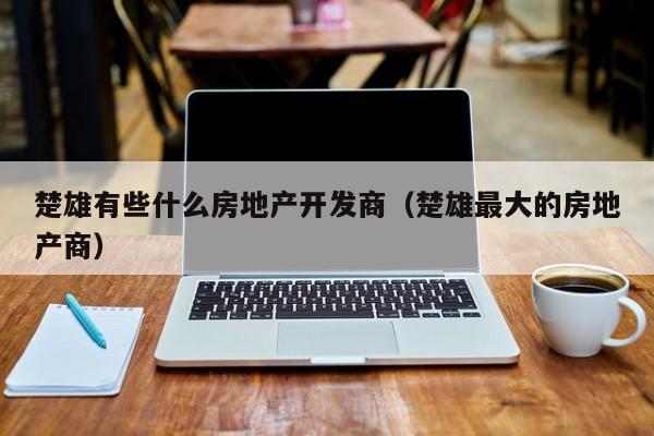 楚雄有些什么房地产开发商（楚雄最大的房地产商）