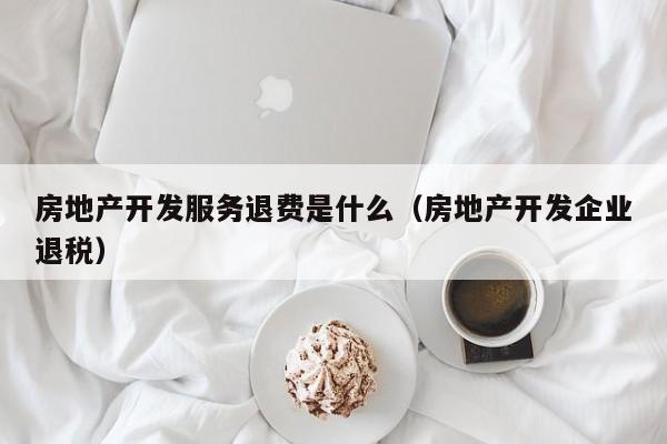 房地产开发服务退费是什么（房地产开发企业退税）